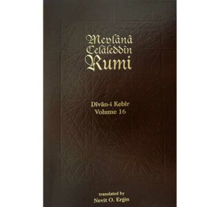 Divan-i Kebir Volume 16, Meter 16: Bahr-i Hezec Salim.