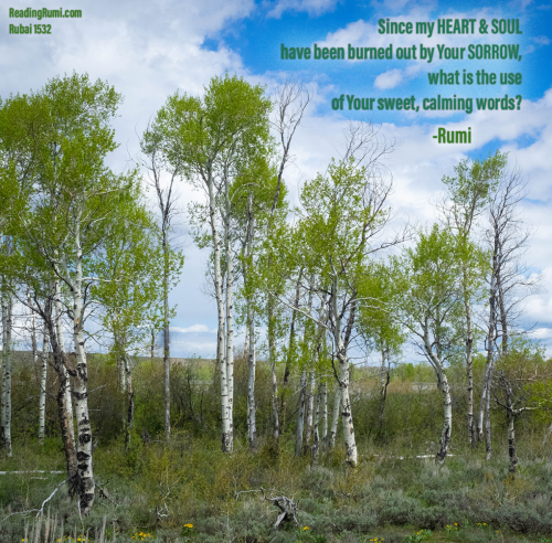 1-V-1-2018-5-19-Tetons-P5190131-1200-x-1200-w-saying