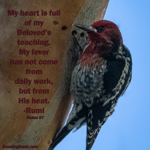 13- 8509000-Edit-1200-x-1200-w-saying