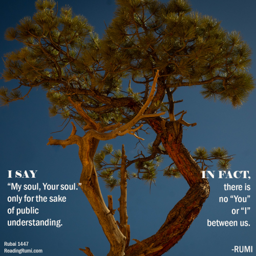 15-V-94-2018-6-7-Bryce-P6070077-Edit-with-text