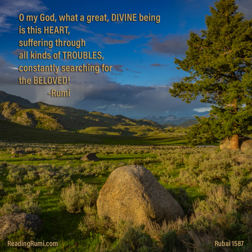 17-N-5-2018-5-29-Yellowstone-P5290192-Edit-3-1200-x-1200-w-saying