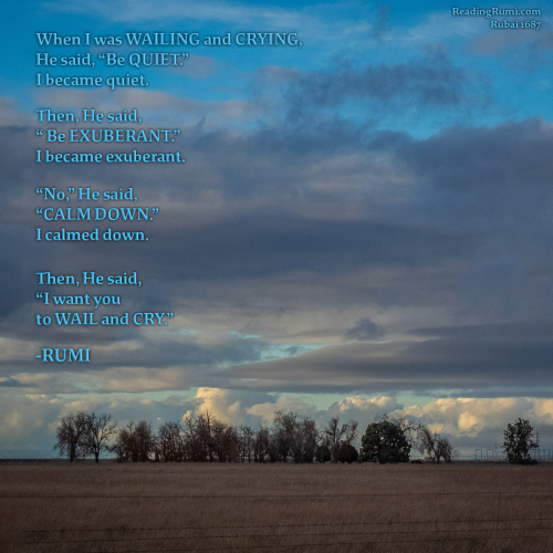 7-P1200185-Edit-1200-x-1200-w-saying