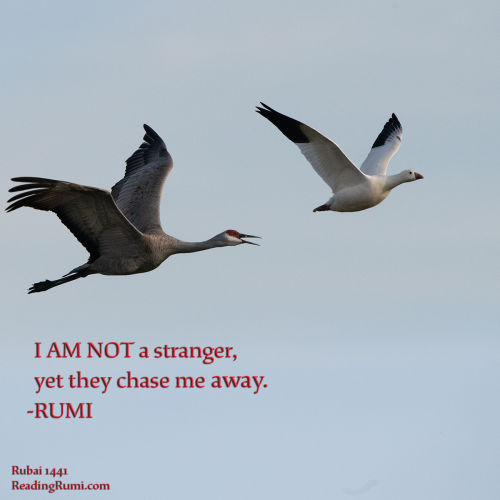 8503431-1200x1200-w-saying