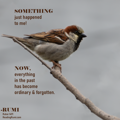 8509135-Enhanced-NR-Edit-1200-x-1200-w-saying