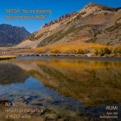 PA156777-HDR-Edit-1200-x-1200-w-saying