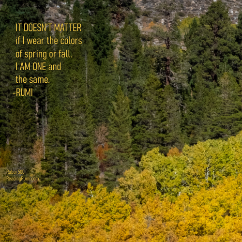 PA167158-HDR-EDIT-1200-x-1200-w-saying