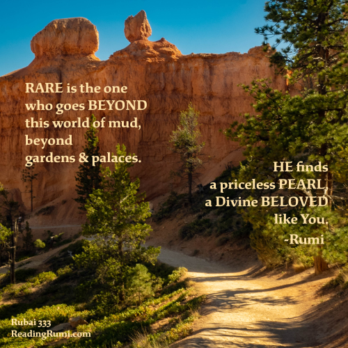 Q-94-2018-6-7-Bryce-P6070048-Edit-1200-x-1200-w-saying