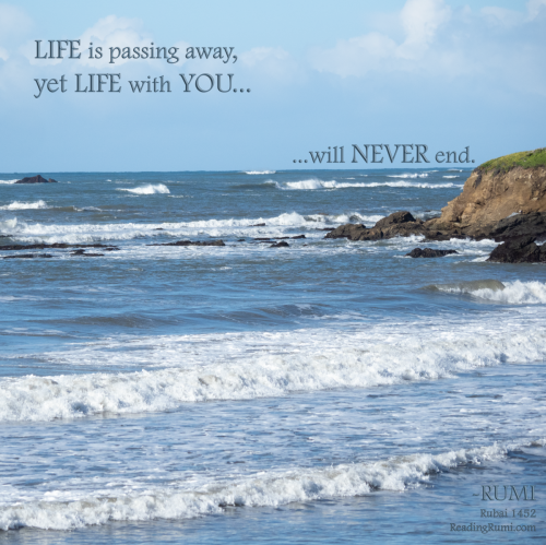 Untitled-114-1200-x-1200-w-saying-v2