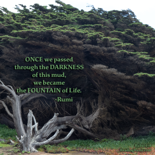 Untitled-161-edit-2-1200-x-1200-w-saying