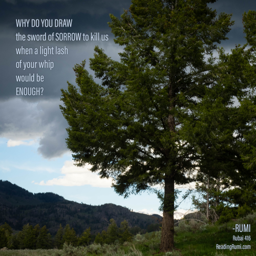 V-4-2018-5-29-Yellowstone-P5290181-1200-x-1200-w-saying